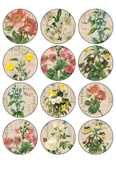 ANSHA CRAFTS Nostalji Çiçek Bullet Journal - Ajanda - Planner - Defter- Lapto...