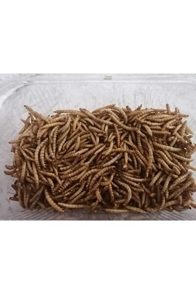 Koçlar Kurutulmuş Kaplumbağa Yemi 200 adet