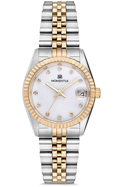 Momentus إس دبليو132تي-02إس جي