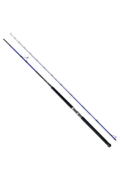 BAUER Risco 305cm 30-100gr Shore Jigging Olta Kamışı