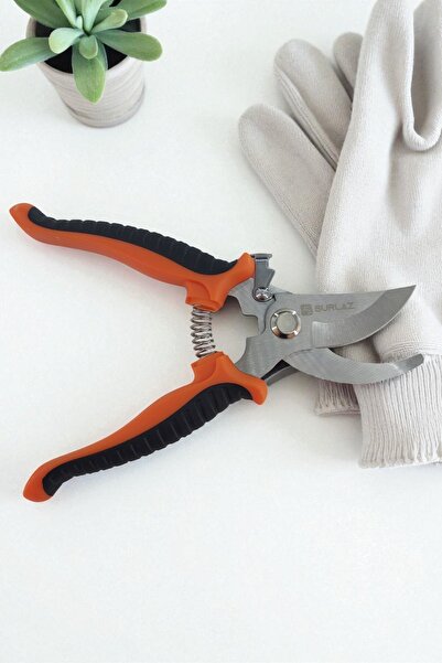 SürLaz Pruning Shears Vineyard Garden Grape Citrus Fruit Tree Pruning