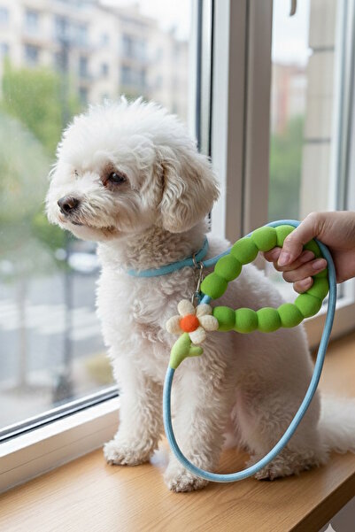 CAŞ DEKORASYON طوق للقطط والكلاب بتصميم زهور باللون الأخضر مع حبل