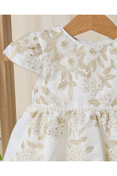 REDTAG Infant Girls White And Golden Embroidered Mesh Dress