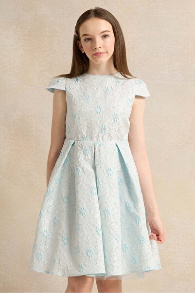 REDTAG Senior Girls Blue Jacquard Dress