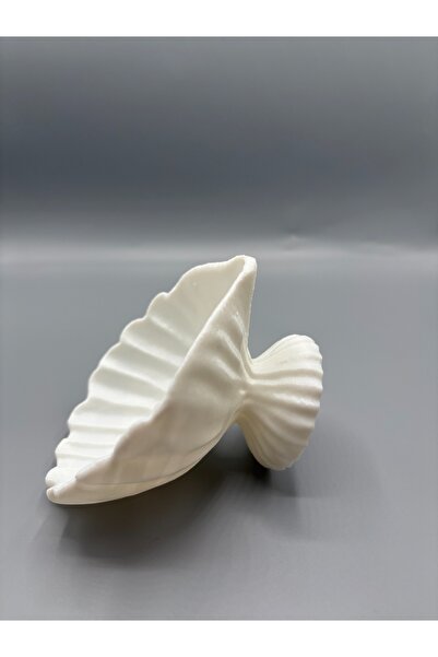 Cypnova Sea Shell Exquisite Jewelry Bowl Seashell Jewelry Stand