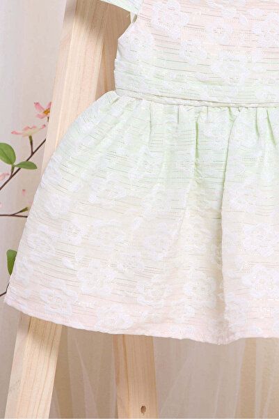 REDTAG Infant Girls Green And Pink Jacquard Dress