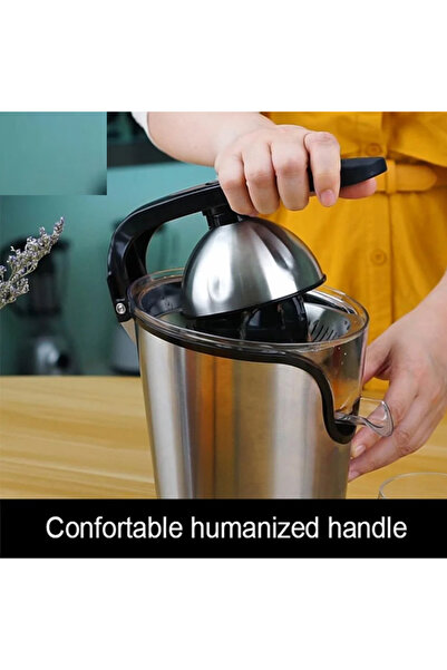 Denx DX312 Stainless Steel Electric Fruit Juicer with High Quality Squeezing