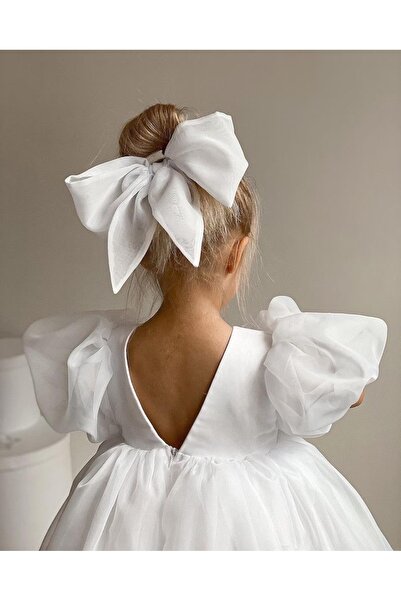 SHClothing accessories Girl's Organized Tulle Special Occasion Dress Birthday Wedding Party Dress (Buckle Not Included)