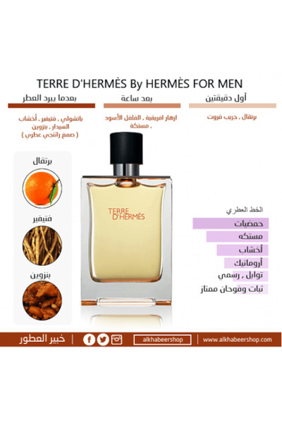 Hermes Tester Hermes Terre d'Hermes Eau de Toilette 100ml (without box)