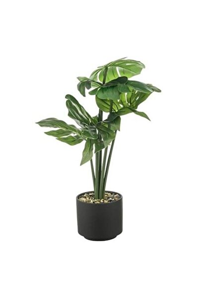 ANTBRO Jardinieră decorativă de podea Ø15 × 60 cm – Vază modernă cu frunze ar...