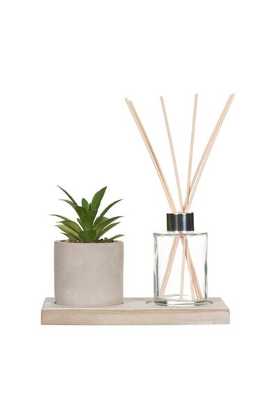 Kopenpal Set AromaFlora: plantă decorativă cu sticlă difuzoare cu trestie, Le...