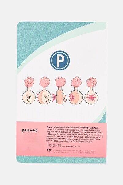 ınsıghts Rick And Morty Ruled Notebook