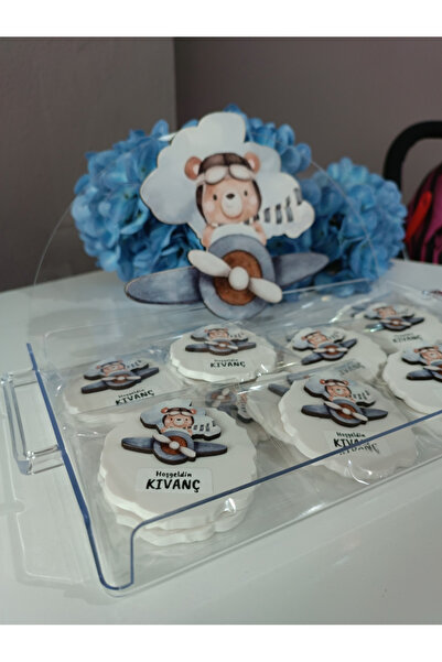 Beyaz Gelincik Tasarım TEPSİLİ 25 ADET Bebek Hediyelik Magnet, Ayıcık Objeli ...