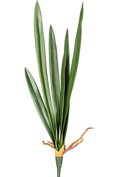 Herdekora Yapay Orkide Yaprağı Yeşil 56 Cm.