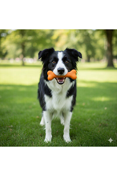 Tasma Market Bone-Shaped Dog Toy – 12.6 Cm, Squeaky and Bacon Flavored, for Small and Medium Breeds