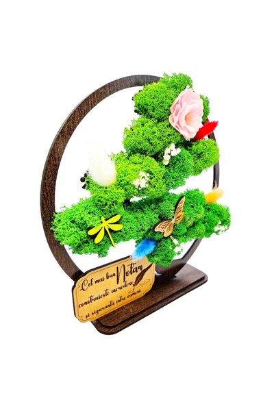 OEM Decorative Frame - Bonsai with Stabilized Moss and Decorative Accents - Message for Notary, Wenge, 2