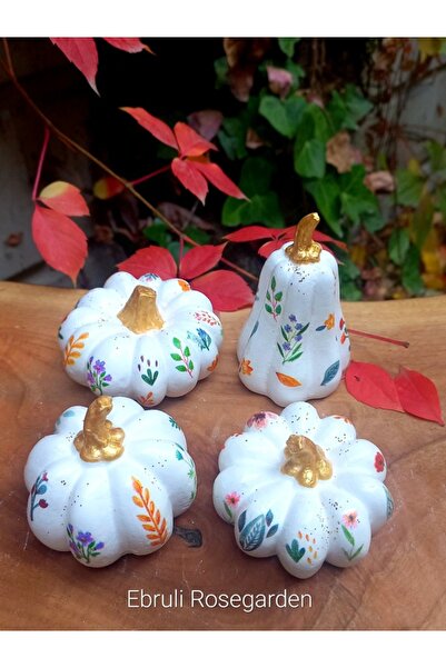 Ebruli Rosegarden 4 lü Pinterest Balkabağı Beton 10 cm Yeniyıl Kış Yılbaşı Ye...