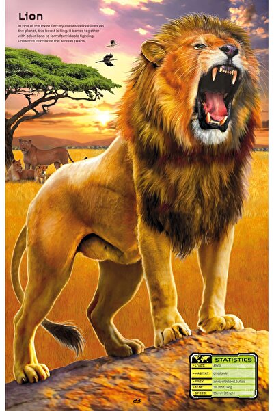 Usborne Sticker Book/Dangerous Animals