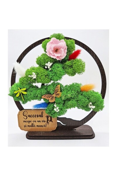 OEM Decorative Frame - Bonsai with Stabilized Lichens and Decorative Accents - Wenge, 20 cm