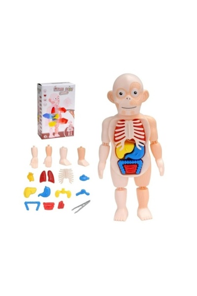 CREATIVE Premergător 2 în 1 pentru bebeluși de la 1 an+, cu sunete și lumini, 37 x 40 x 42 cm, albastru-verde/roz