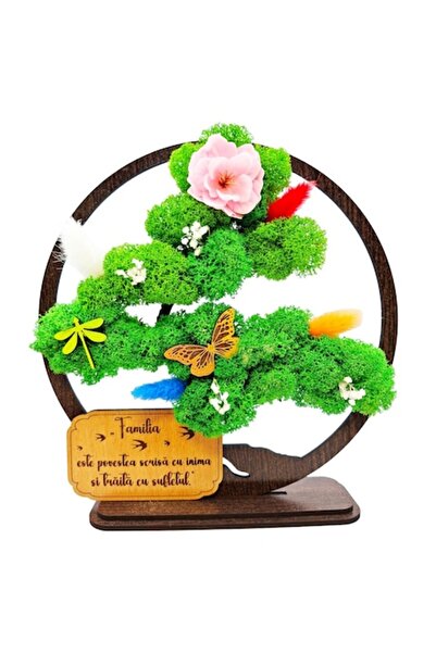 OEM Decorative Frame - Bonsai with Stabilized Lichens, Family Message, Wenge 20cm