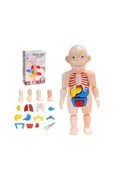 CREATIVE Premergător 2 în 1 pentru bebeluși de la 1 an+, cu sunete și lumini, 37 x 40 x 42 cm, albastru-verde/roz