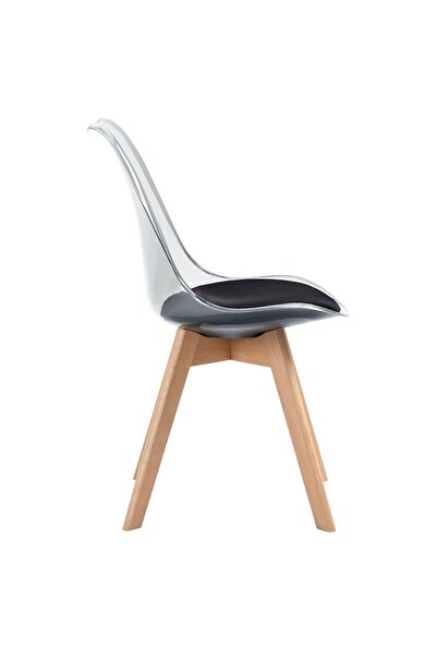QMOBILI Tori TRS Dining Chair - Black Seat, Transparent PP Shell, Beech Legs