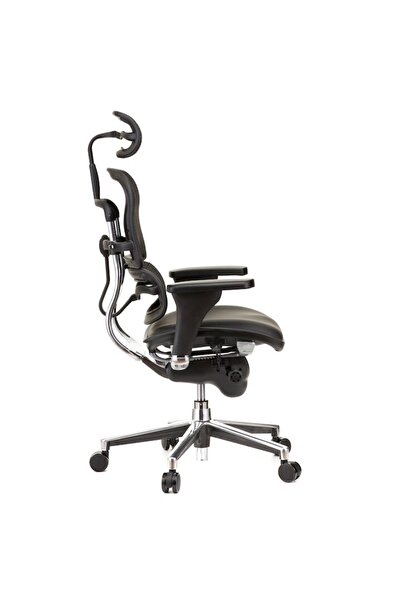 Ergohuman QMOBILI v1 Plus, Black - Genuine Leather Seat & Mesh Back