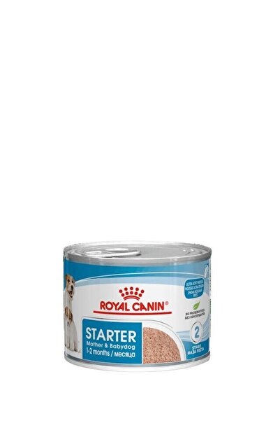 Royal Canin Starter Mousse Mother & Babydog Yavru Köpek Konservesi 195 gr