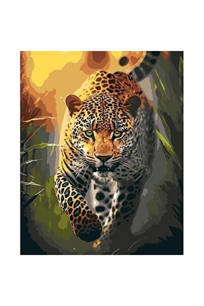 qbee Pictură după numere - Grația unui prădător 40x50 cm