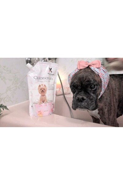 Warren London Baia de lapte pentru căței a Cleopatrei (Warren London)