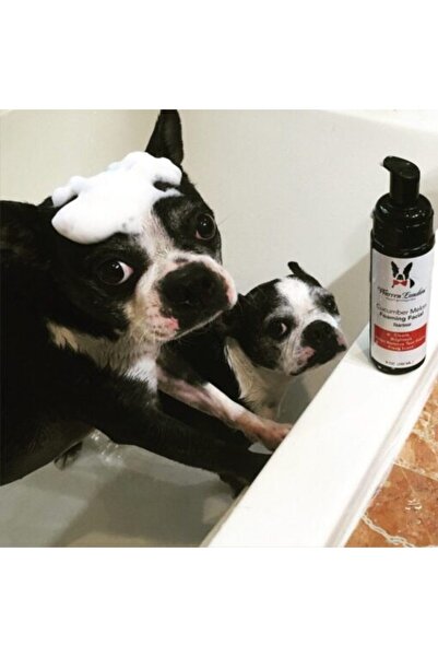 Warren London Spumă facială cu pepene galben și castravete