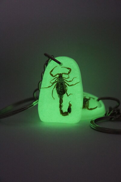 Unutma Beni Karanlıkta Parlayan Gerçek Akrep Fosilli Anahtarlık