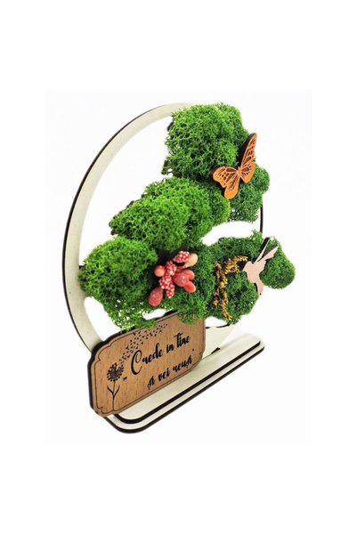 OEM Cadou Bonsai, cu licheni stabilizati, din lemn alb, „Crede in tine”, 15cm, handmade