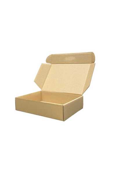 koliciabla Kargo Kutusu 40x30x10 cm | Çift Oluklu Kilitli Kutu