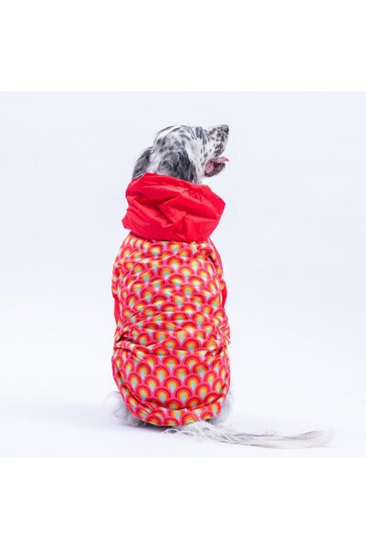 Pawstar Lisbon Sunset Kırmızı Gökkuşağı Desenli Büyük Irk Köpek Montu Köpek Yağmurluğu Köpek Kıyafeti Köpek