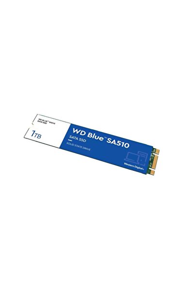 Other SSD WD Blue M.2 1TB SATA WDS100T3B0B