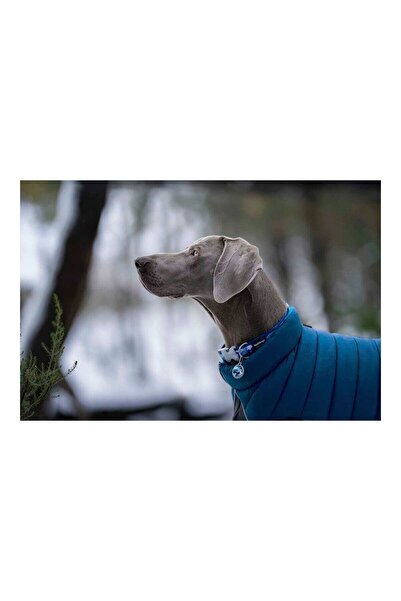 RedDingo Dog Coat Red Dingo Puffer Turquoise 30 cm