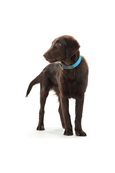 Hunter Dog collar Convenience Turquoise (42-50 cm)