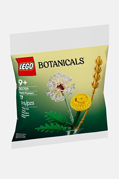 LEGO Botanicals 30701 Field Flowers Paper Bag Building Set