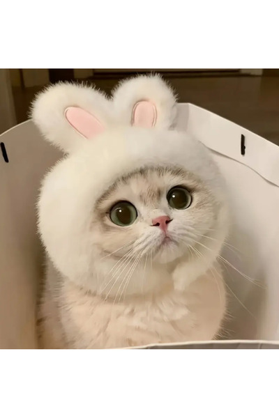 KAYHN KYHN 🐾Peluş Tavşan Şapka Ayarlanabilir Boyut SICAK VE SEVİMLİ