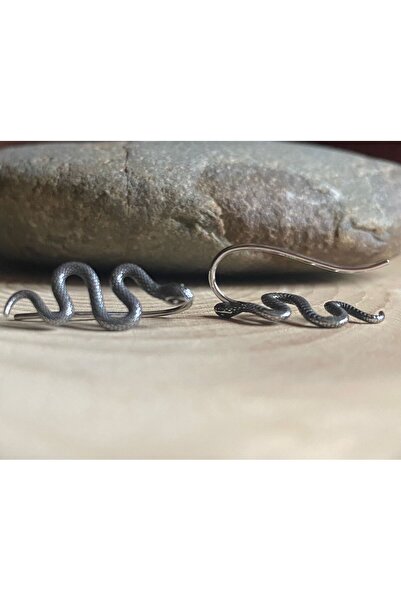 Viking Snake Design S+ Non-Tarnish Stainless Steel Earrings Steel Pair