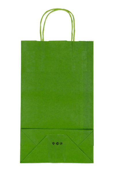 EWs Paper gift bag 18 x 8.5 x 30 cm, light green, set of 10 pieces
