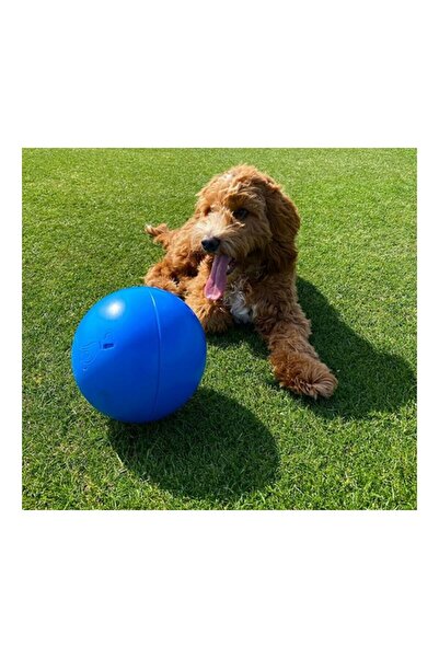 Company Of Animals Jucărie pentru câini Boomer Albastru (100mm)