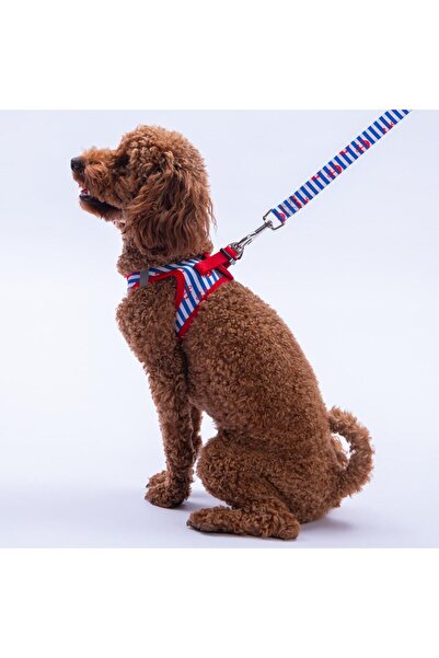 Pettrend Sailor Mates Göğüs Tasması ve Sevk Kayışı Tasma Seti Çapa Kedi Köpek Göğüs Tasması Seti