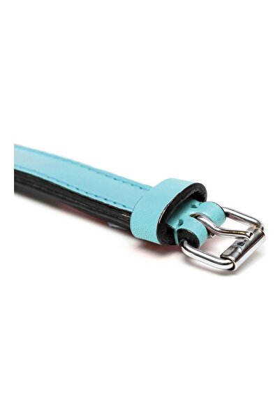 Gloria Zgardă pentru câini căptușită albastră (50 x 2,5 cm)