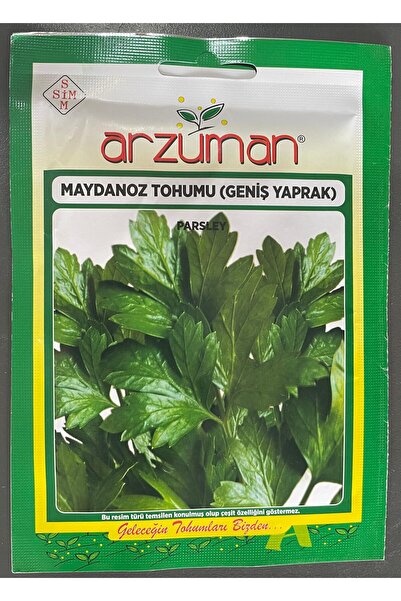 MAYDONOZ TOHUMU (GENİŞ YAPRAK)