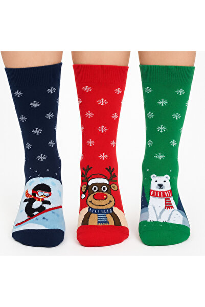 SOYTEMİZ Special New Year's Concept Socks Set of 3