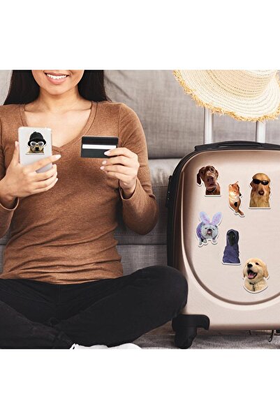 007 50 Cute Dog Meme Stickers by Tazwiq — Waterproof Vinyl for Laptop, Water Bottle, Luggage, Skateboa