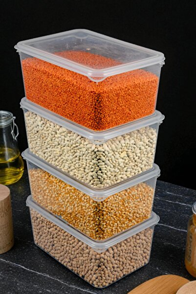 Ecolux Set of 4 6 Liter Mega Size Food Storage Containers